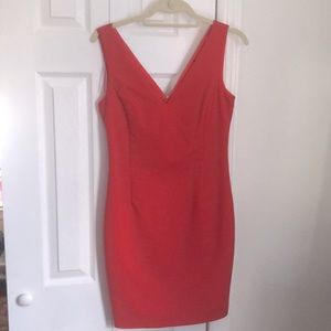 Zara Fitted Dress in Red with Gold Zipper